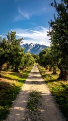 Obraz premium A dirt path leads through a lush orchard to a mountain range