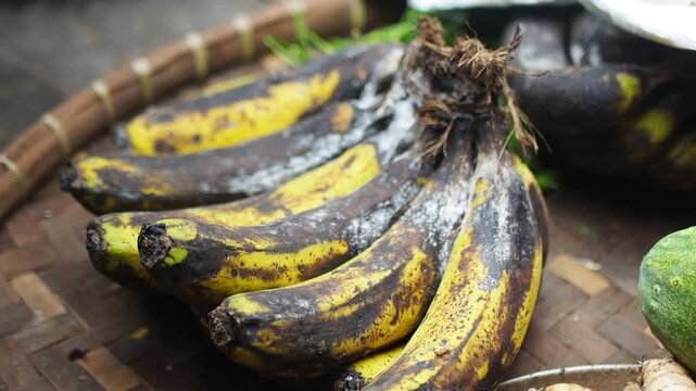 Close-up of a bunch of moldy, rotten, and spoiled bananas with white fungus on their skins, sitting on a traditional woven bamboo tray, representing food waste and decay.