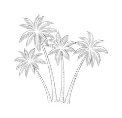 Four palm trees with fronds and textured trunks in a sketched style tropical nature © Mehedy