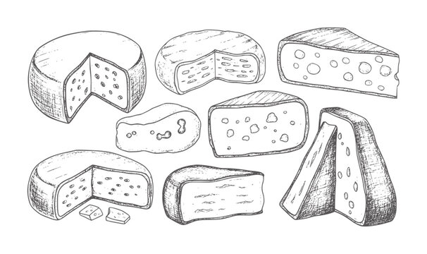 Hand drawn of various cheese types with holes and wedges food dairy vintage rustic