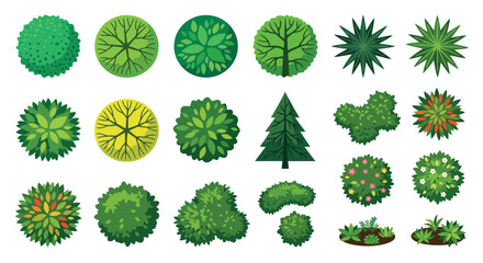 Tree Top Views Vector Illustration With Green And Yellow Foliage © Sumon