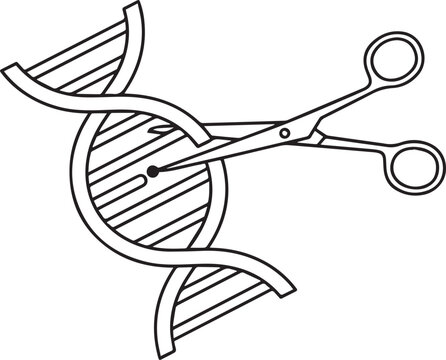Scissors cutting gene DNA sequence  genetic engineering