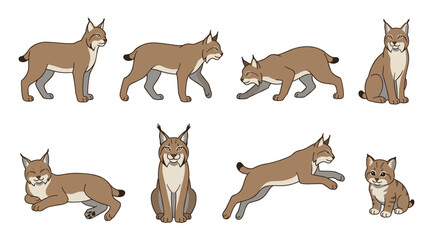 Obraz premium Lynx bobcat wildcat animal character illustrations displaying various poses and actions including standing, walking, crouching, sitting, relaxing, jumping, and a cute cub
