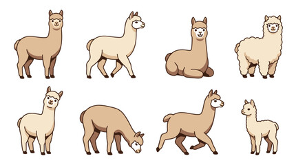 Fototapeta premium Alpacas characters set in a flat cartoon style, showing different colors and fur types, featuring various activities like standing, walking, sitting, and grazing
