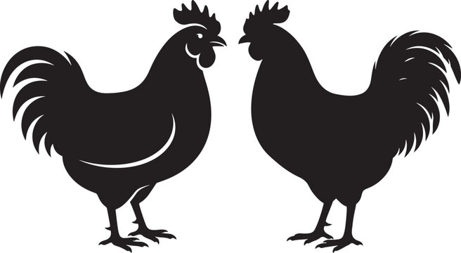 Black and white silhouette illustration of two roosters facing each other with silhouette illustration cockerel isolated domestic