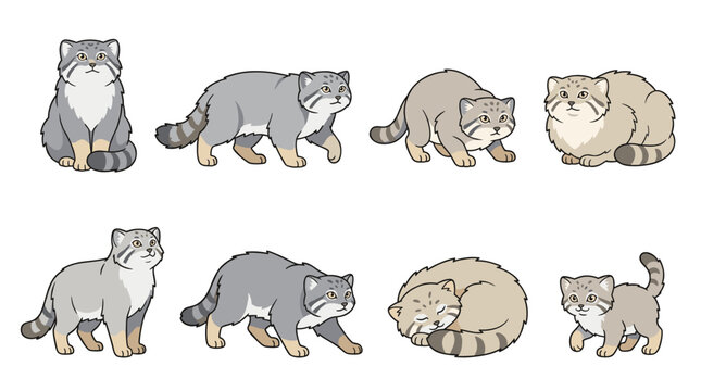 Cartoon pallas's cats displaying different actions like sitting. Walking. Looking. And sleeping. With a small kitten included