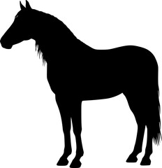 Obraz premium Black horse silhouette vector graphic standing in side view, design for: equestrian sports logos, horse ranch branding emblems, western theme promotional banners. Transparent EPS version.