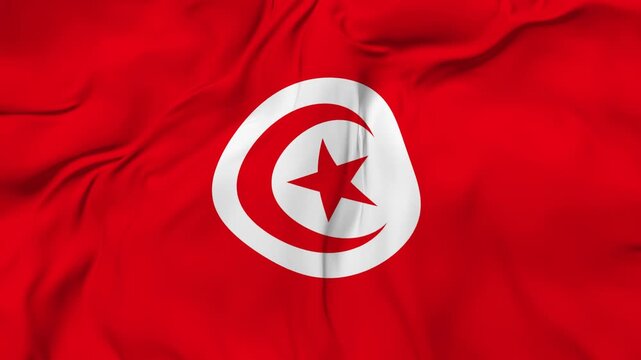 Tunisia flag animation seamless loop. 4k Resolution