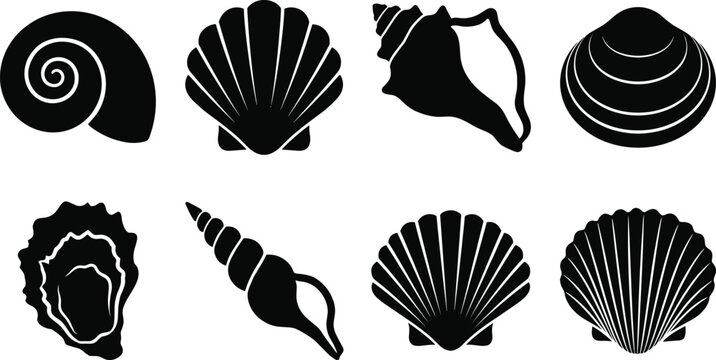 Vector silhouettes of diverse seashells including spiral, scallop, conch, clam, oyster, and marine shell designs for ocean themes