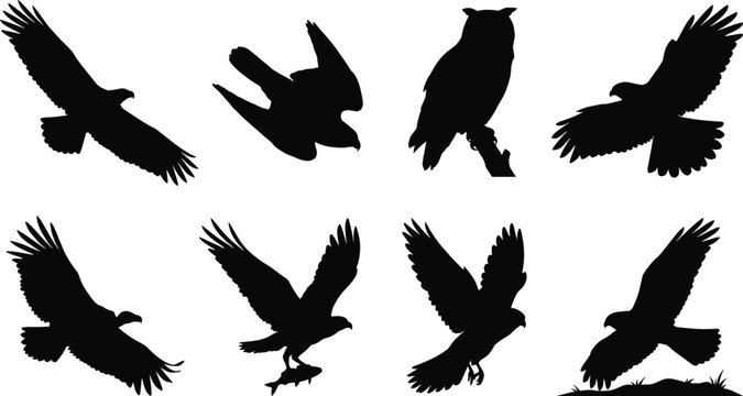Birds of prey silhouettes set featuring eagle hawk falcon owl osprey and vulture vector graphics