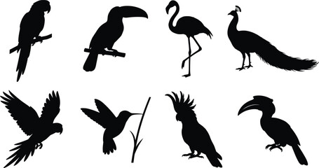 Exotic and tropical birds silhouettes set featuring parrot toucan flamingo peacock hummingbird cockatoo and hornbill vector graphics © Asib