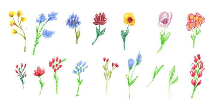 Big Set watercolor elements - wildflowers, herbs, leaf. collection garden and wild, forest herb, flowers, branches. illustration isolated on white background, exotic leaf. Botanic