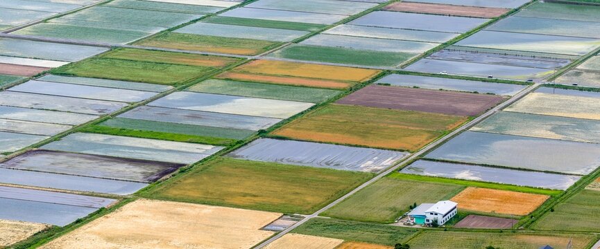 Aerial view of Iwase Rice fields showing a geometric mosaic of flooded paddies and cultivated crops with a small farm building in Iwase, Ibaraki, Japan.