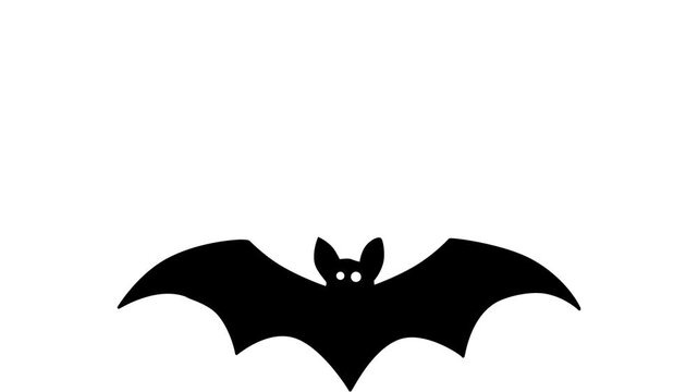 Animated black bat with orange eyes and open mouth flying on a bright green background screen effect green screen video 4K video animation