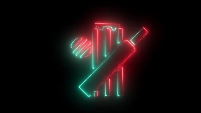 Glowing Neon Cricket Icon Isolated, HD Video Motion Graphic Animation on Black Background 4K video animation.