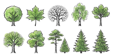 Fototapeta premium Collection of hand drawn tree sketches with green watercolor texture for nature design and forest projects