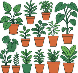 Fototapeta premium Collection of Various Indoor Houseplants in Small Pots for Home Decor.