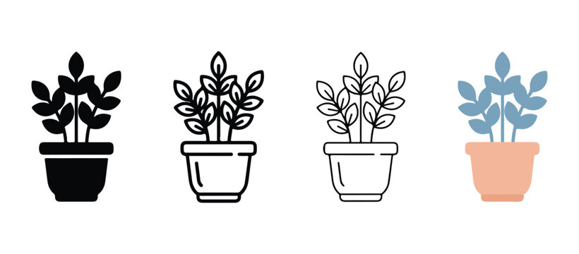 potted plants with leaves on white background  plants in pots for decoration