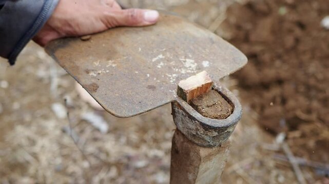 Close-up of a person's hands hammering a wooden wedge into a rusty hoe to secure the handle, preparing a traditional garden tool for farming or planting.