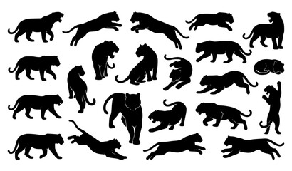 Black Tiger Silhouette Set with Realistic Wild Cat Poses Vector Illustration Isolated on White © MSTSUFIA