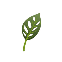 Cute cartoon green monstera leaf with holes, isolated on white © Ra