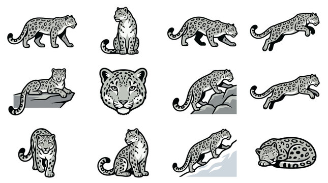 Vector illustrations of snow leopards in various poses