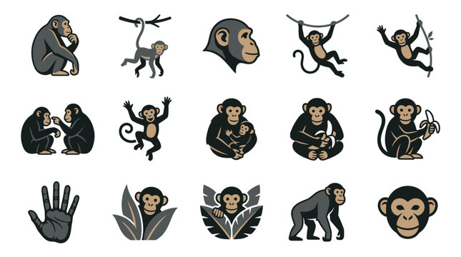 Collection of minimalist monkey and chimpanzee vector icons