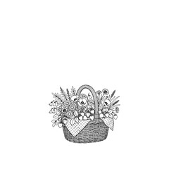 Obraz premium Floral basket illustration with detailed line work on a white background