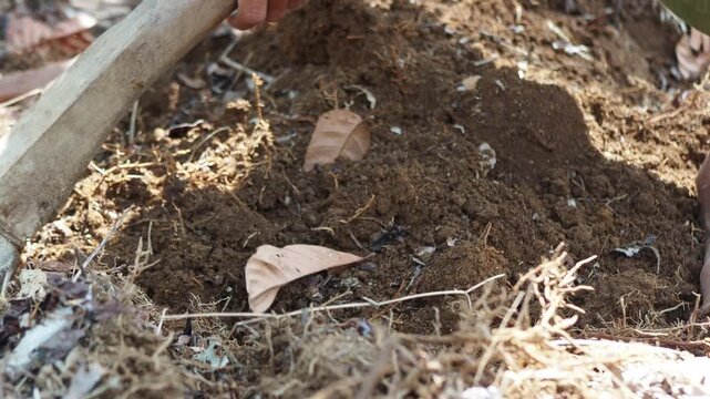 Close-up of a person using a hoe to dig and cultivate rich brown soil, breaking up hard ground for planting and agricultural work.