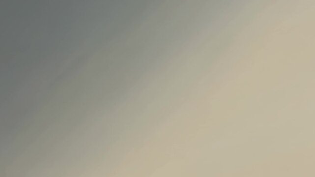 Muted Beige Gray Soft Abstract Motion Texture