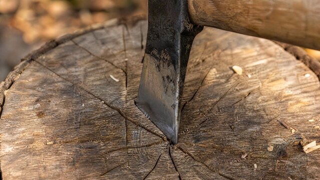 precisely. Axe blade embedded in center of round log, close-up impact point, outdoor light, wood grain detail. safety posters.