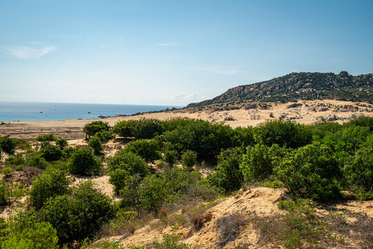 Landscape photograph of the arid coastal dune terrain near Phan Rang, Ninh Thuan Province, Vietnam. Sandy ground, drought-resistant vegetation, and low scrubby plants cover the dune landscape, with th
