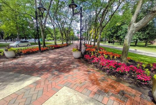 Park Brick Walkway with Flowers 