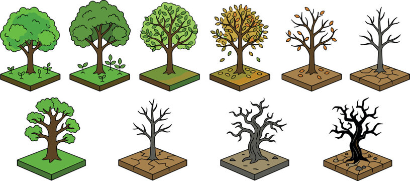 Isometric Seasonal Tree Lifecycle Vector Icon Set Showing Green Foliage Growth Autumn Changing Leaves and Dead Bare Trunks in Dry Soil Illustration