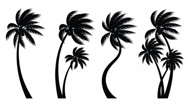 Detailed black silhouettes of tropical palm trees showing various bending shapes isolated on a clean and simple white background surface