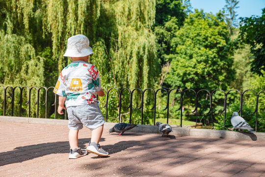 Toddler in sunhat stands on park walkway watching pigeons