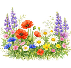 Fototapeta premium PNG Vibrant watercolor wildflower garden