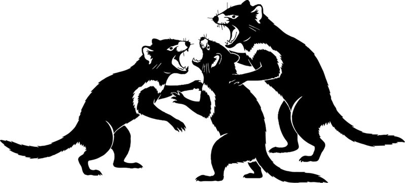 Three black panthers in dynamic fighting pose silhouette.