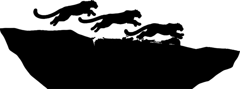 Silhouette of leopards running on a rock formation.
