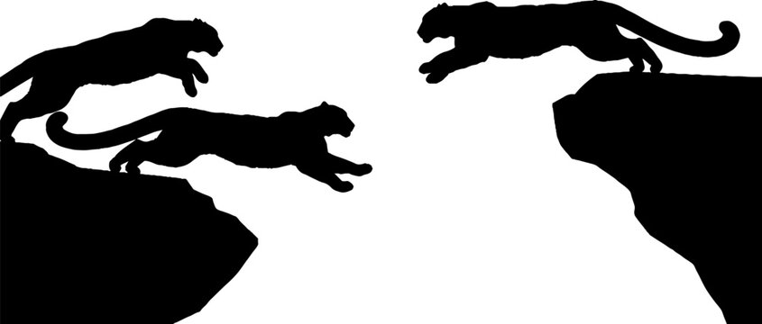 Silhouette of leaping panthers in dynamic action pose.