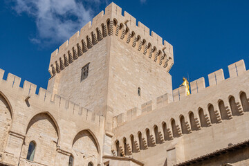 Fototapeta premium View of the architecture of the famous Palace of the Popes in Avignon, France