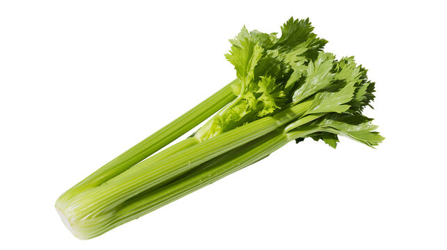 Fresh green celery stalks with leaves