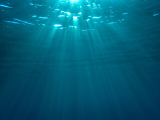 Obraz premium Underwater sea. Abstract Underwater Sea Background with Light Rays. Deep Blue Ocean Underwater Seascape. Sunlight Rays Through Crystal Clear Sea Water. Bubbles undersea. Marine Blue Water Wave Surface