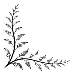 Elegant leafy fern branch corner frame ornament. © MstAnzila