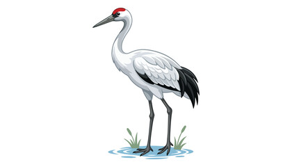 Fototapeta premium Cranes bird clipart vector illustration