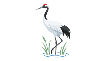 Fototapeta premium Cranes bird clipart vector illustration