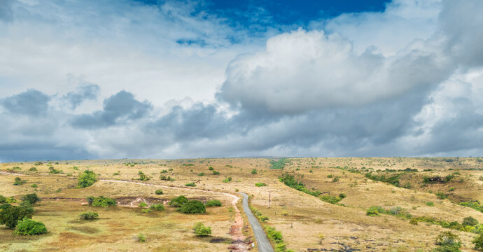 The dry season has set in, and the grass is beginning to dry up and yellow, yet it has been pouring all day, with heavy clouds looming over the Sumba savanna sky