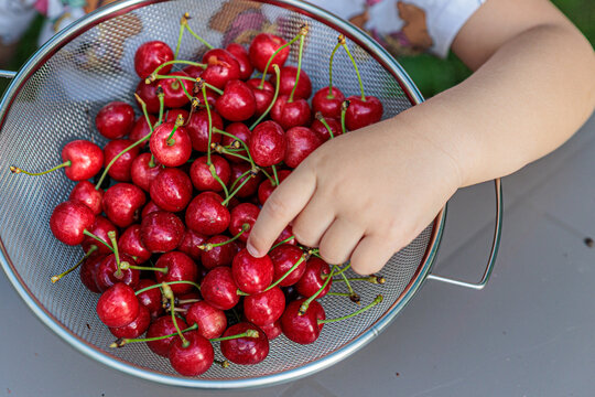 Child's Hand Picking Fresh Red Cherries From A Metal Colander On A Table