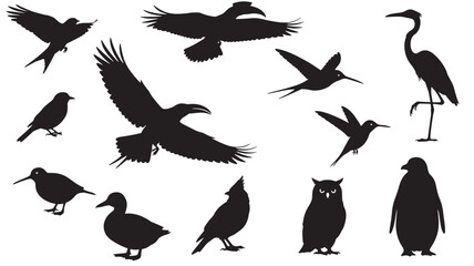 Obraz premium Bird Silhouette Set with Owl and Heron Shapes as Black Vector Icons on White Background for Design Featuring Birds, Penguin, Crow