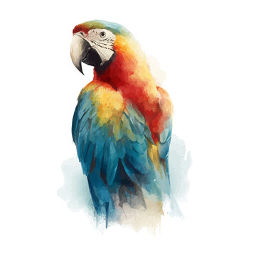 Macaw, watercolor illustration vector, isolated on a white background.